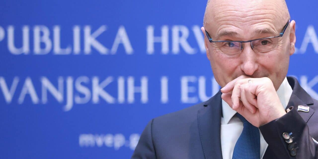gordan grlić radman
