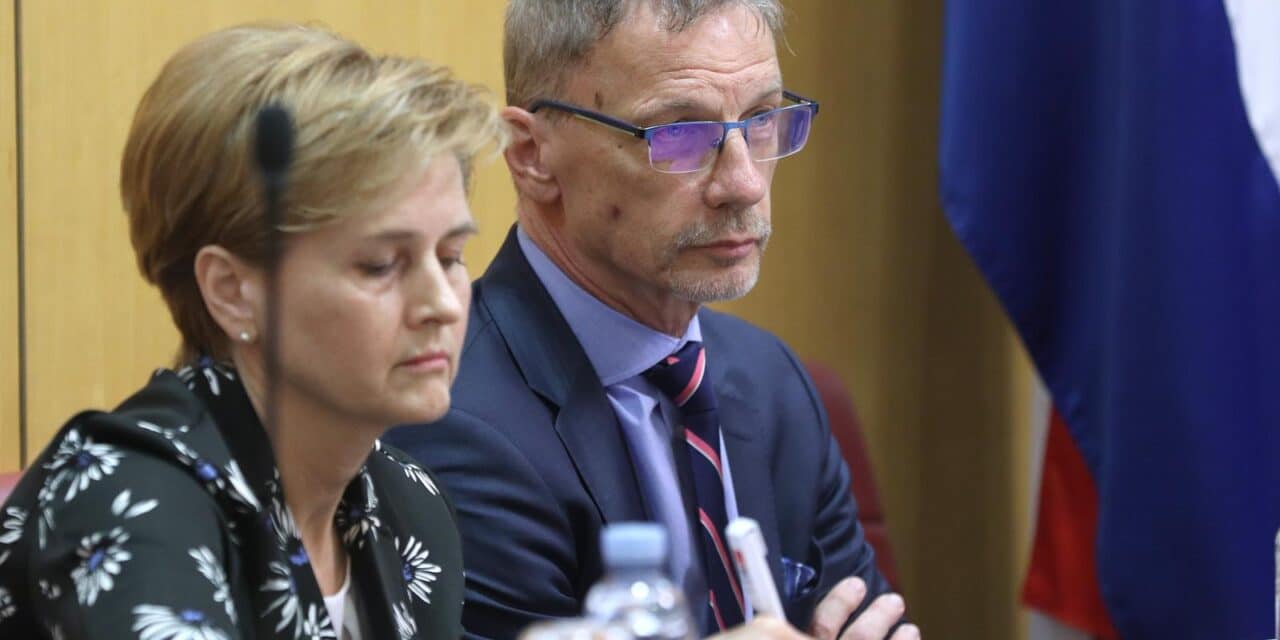boris vujčić