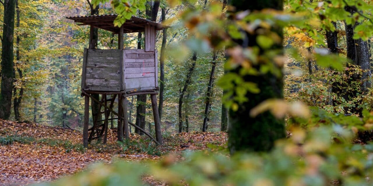 Lovačka čeka