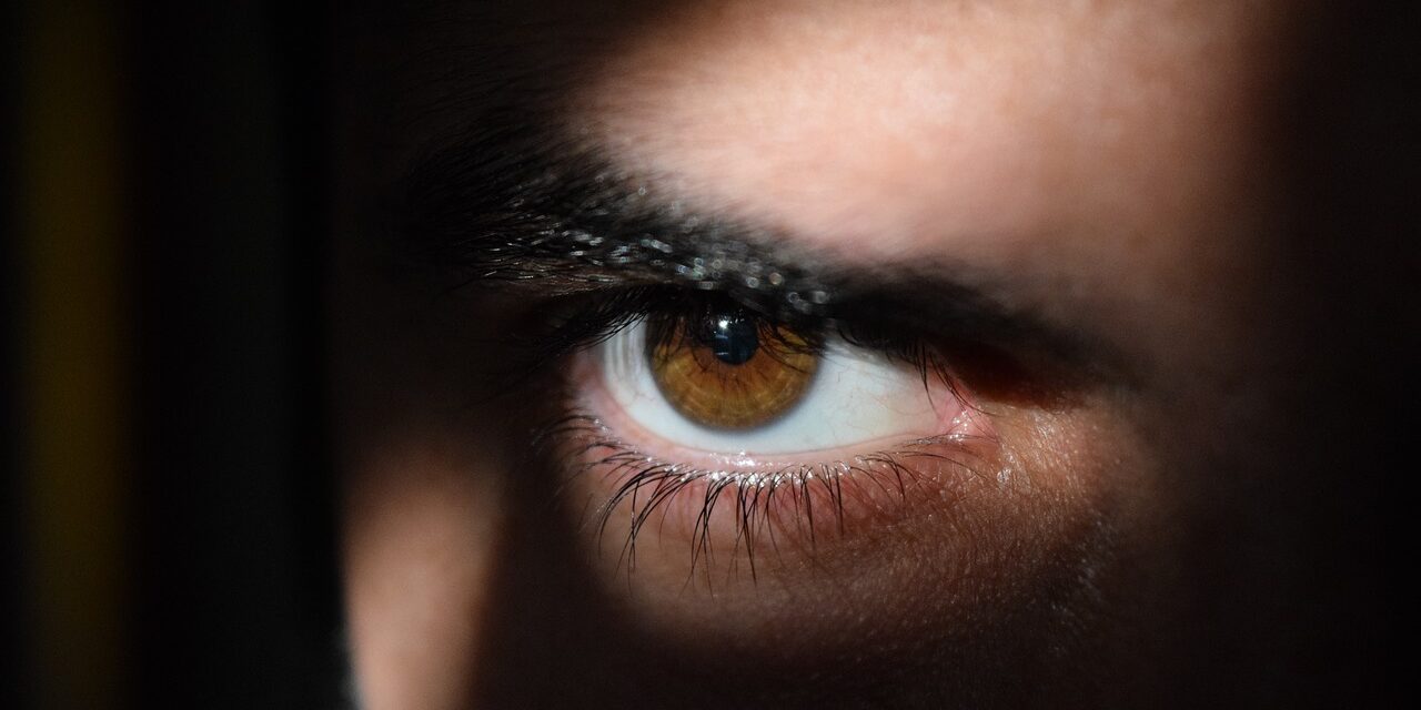 eye-g4ba437754_1280