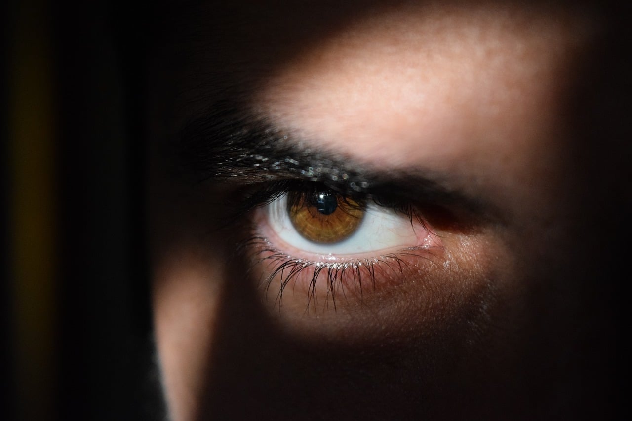 eye-g4ba437754_1280