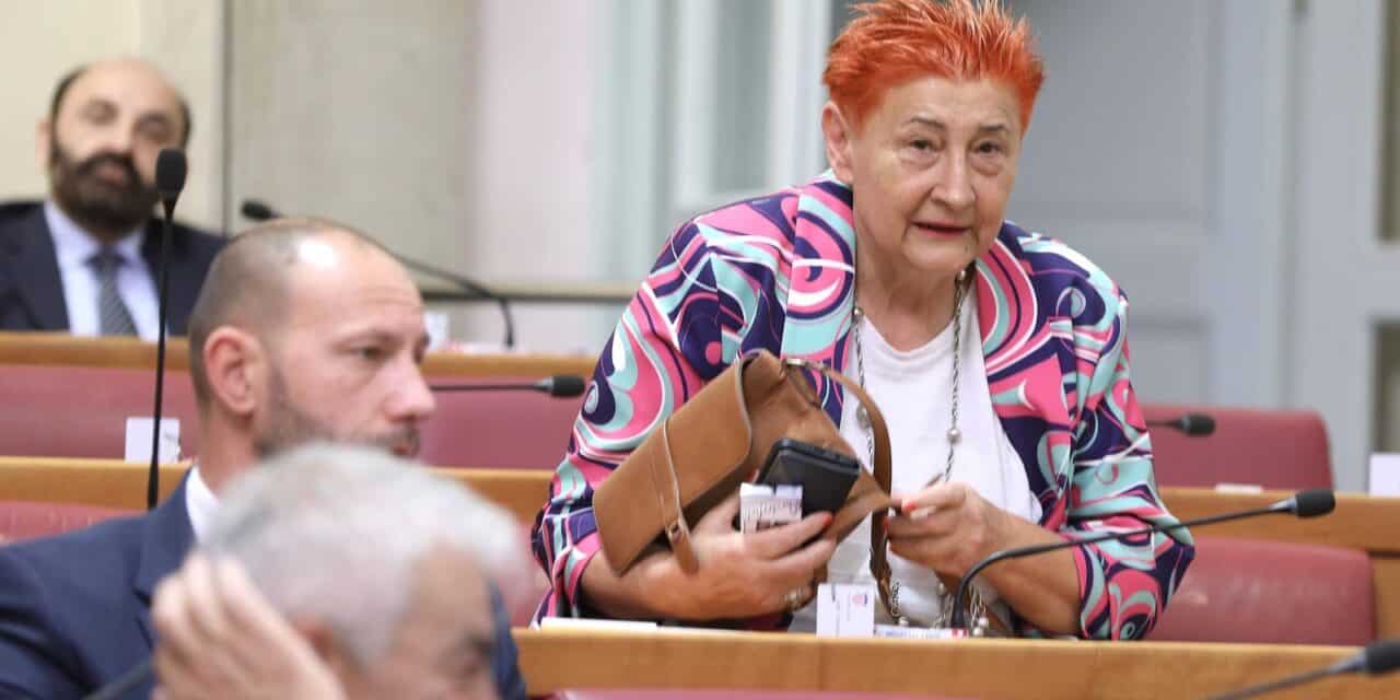 Nadica Dreven Budinski
