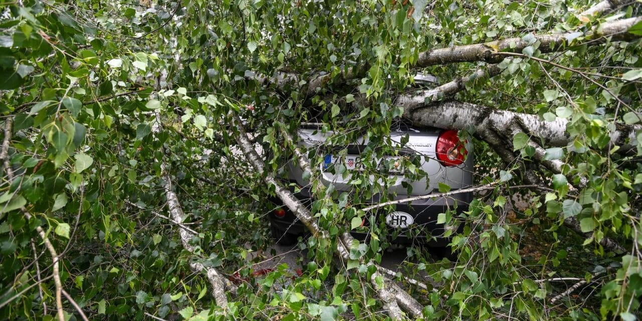Zagreb: Olujni vjetar srušio stablo na cestu, tri automobila oštećena