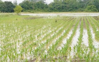 Tuzla: Na području općine Čelić proglašeno je stanje prirodne nesreće zbog obilnih poplava