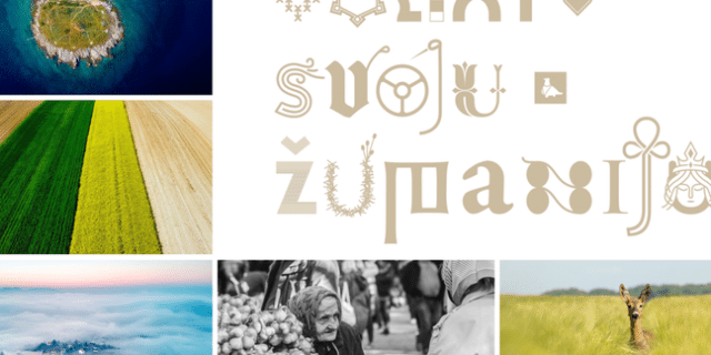 vsz.png__648x432_q85_crop_subsampling-2_upscale