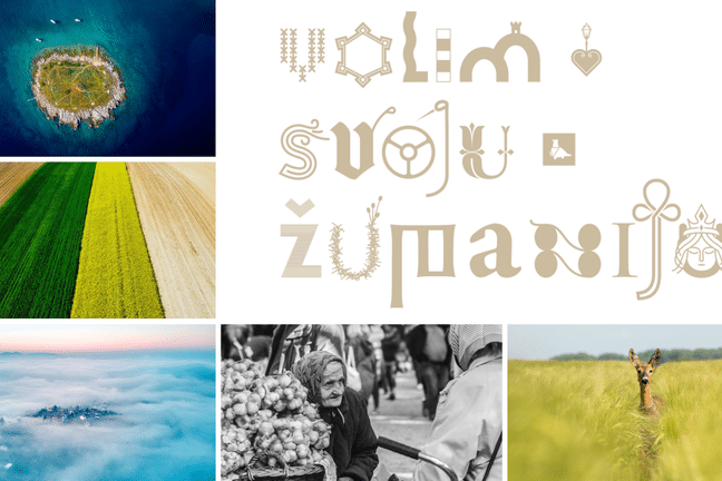vsz.png__648x432_q85_crop_subsampling-2_upscale
