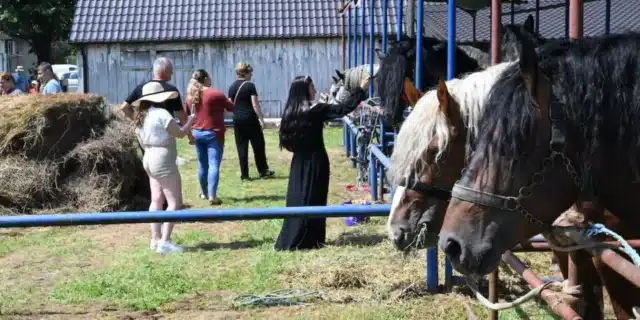 DSC_2265-960×641