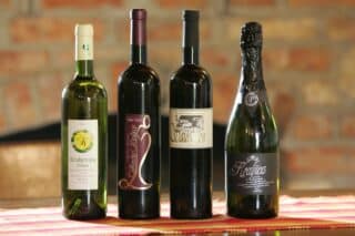 Zelina: Vinogradarstvo i vinarstvo obitelji Puhelek u Gornjem Psarjevu