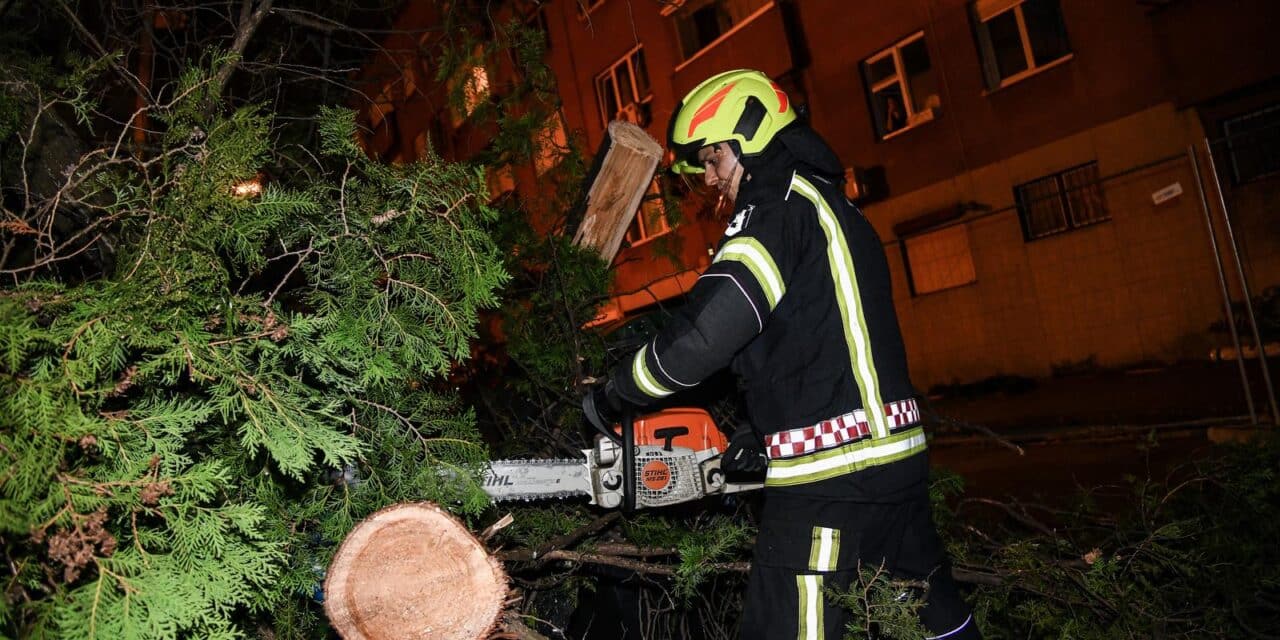 Zagreb: Jak vjetar srušio stablo u Savskoj, vatrogasci na terenu