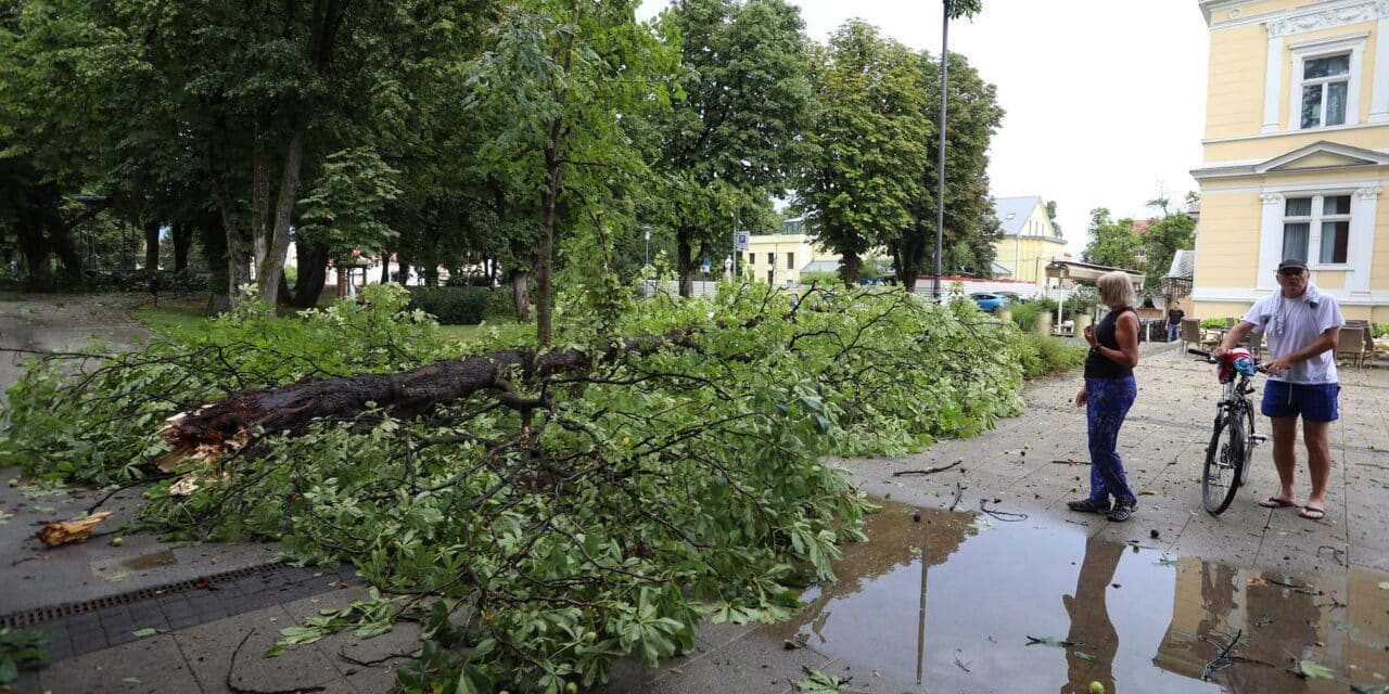 Posljedice nevremena u Karlovcu
