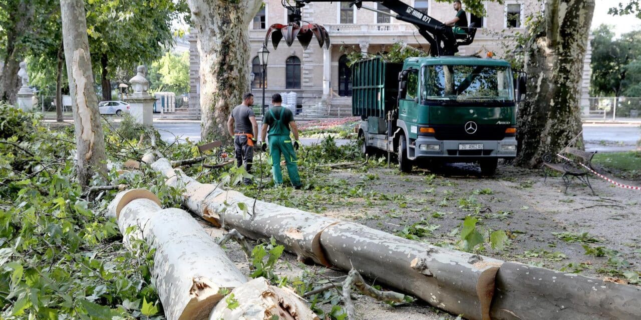 Zagreb: Gradska uprava upozorava građane da ne idu u parkove