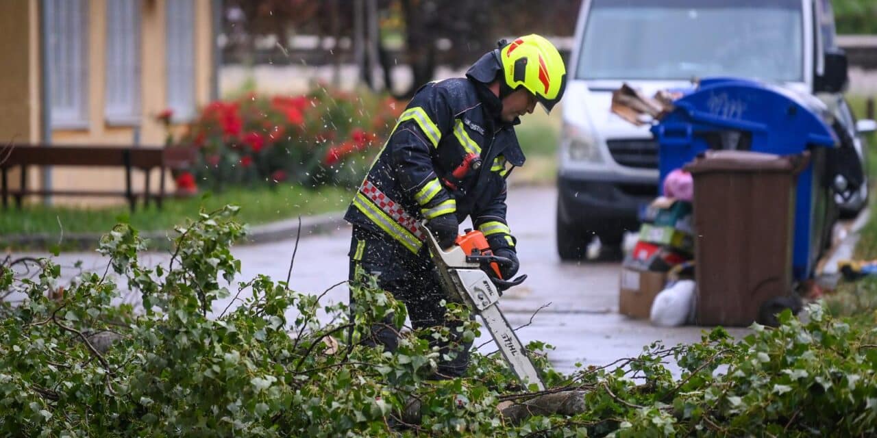 Zagreb: Vatrogasci u akciji nakon pada stabla na automobile