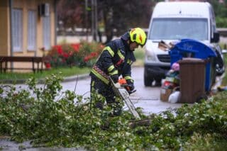 Zagreb: Vatrogasci u akciji nakon pada stabla na automobile