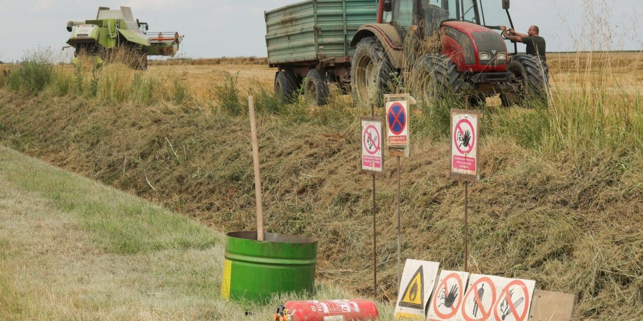 U Slavoniji počela žetva pšenice
