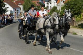 16. vozočašće konjskih zaprega iz Zlatar Bistrice u Mariju Bistricu