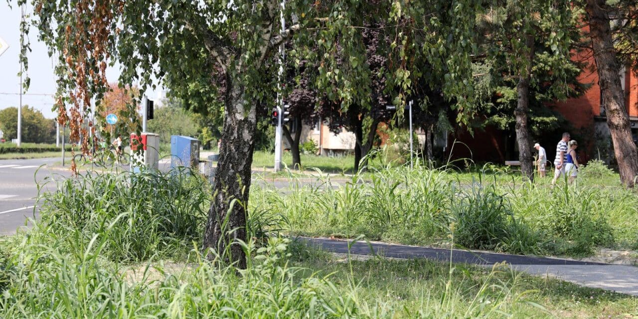 Zagreb: Zapuštene zelene površine po gradu