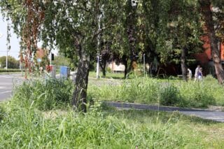 Zagreb: Zapuštene zelene površine po gradu