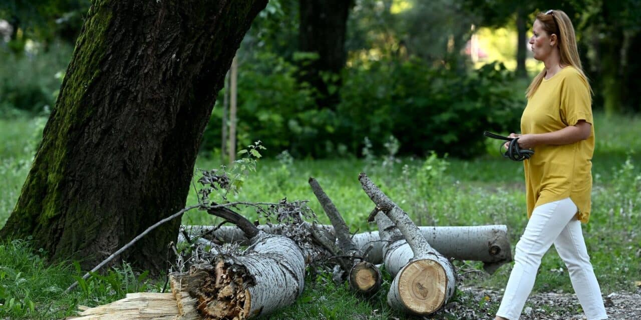 Park mladenaca još uvijek nije očišćen od oluje koja je u srpnju poharala Zagreb