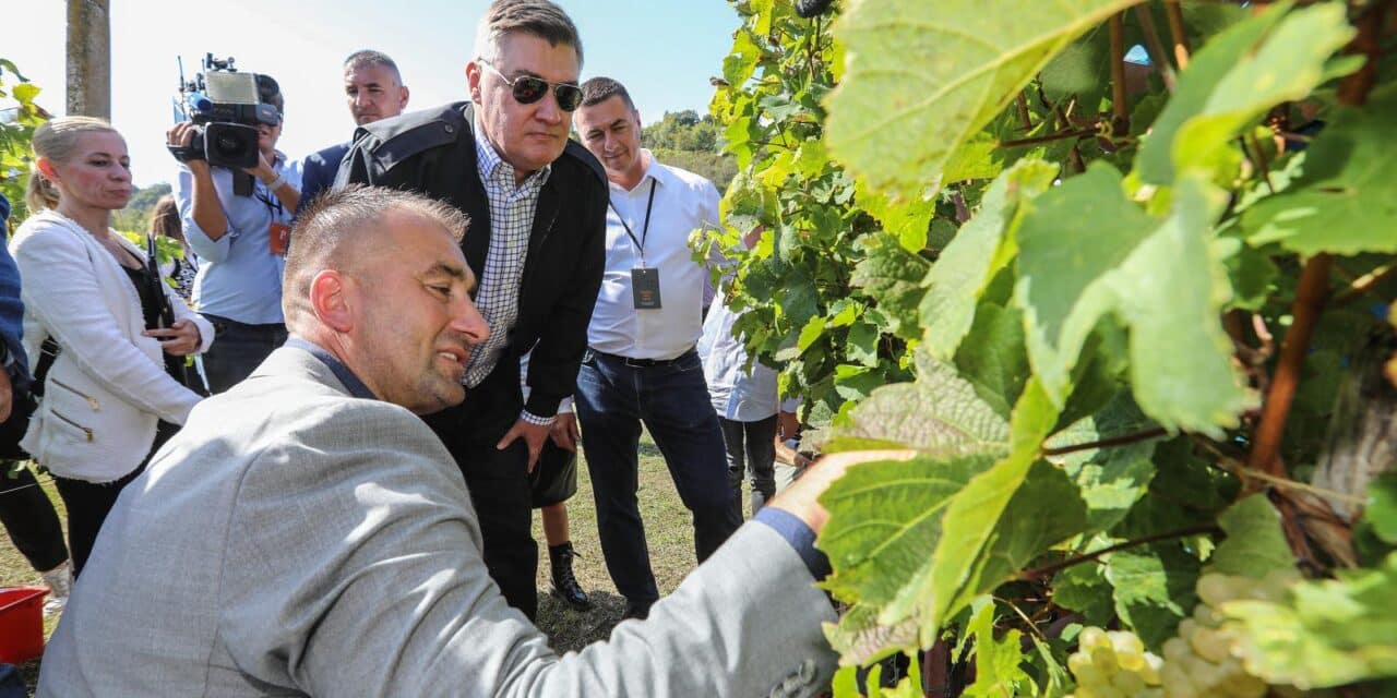 Jastrebarsko: Predsjednik Milanović ugostio diplomate na tradicionalnoj “Diplomatskoj berbi”