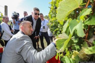 Jastrebarsko: Predsjednik Milanović ugostio diplomate na tradicionalnoj “Diplomatskoj berbi”