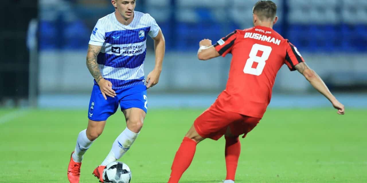 karlo bartolec