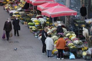 Zagreb: Ponuda cvijeća na Splavnici posvećena je predstojećem blagdanu Svih svetih