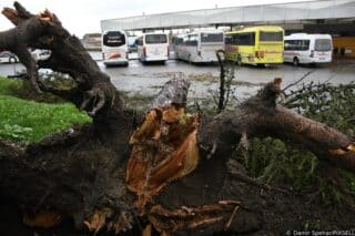 Bjelovar: Uslijed jakog nevremena i vjetra stablo bora iščupano je iz korijena, te je palo na autobus