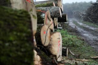 Zagreb: Priprema drva za ogrijev