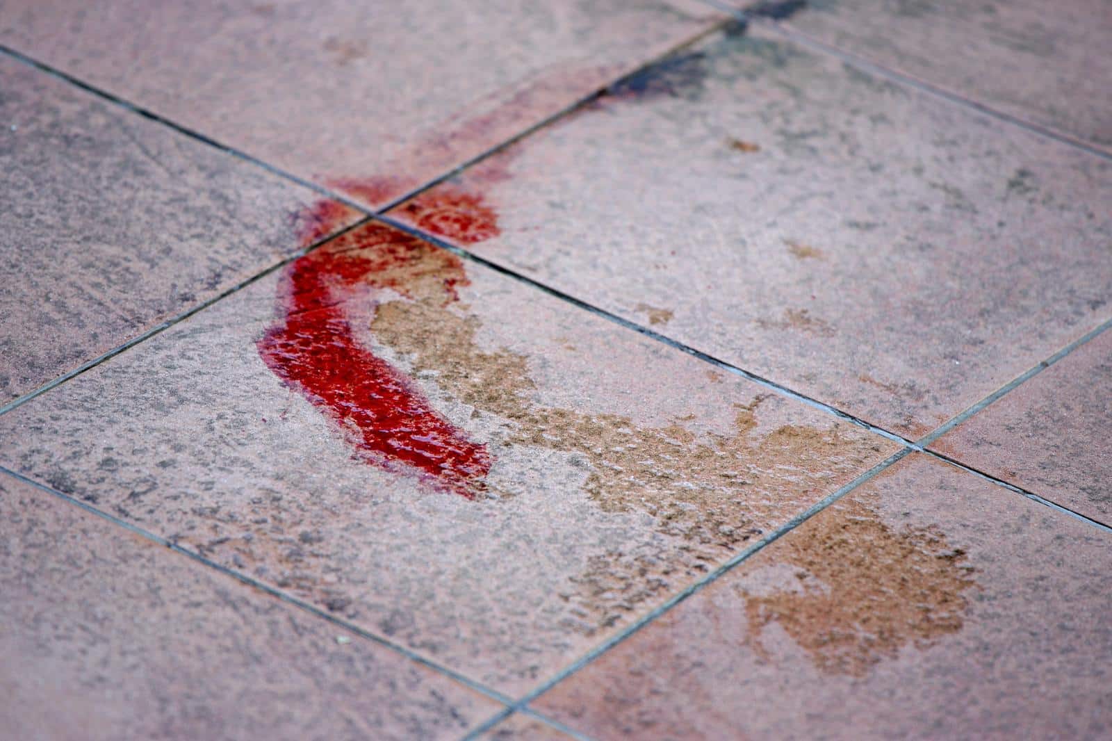 Zagreb: Mu�karac bacio dva psa s tre?eg kata u Prilazu Ivana Visina