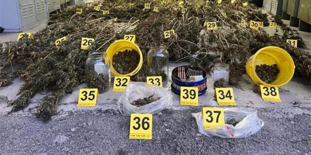 marihuana pgp vrgorac 04112023