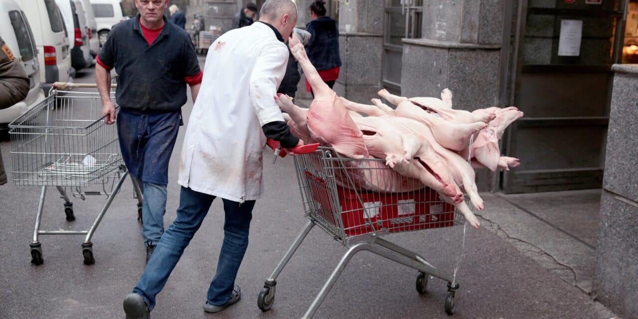 Zagreb: Unatoč poskupljenju velika potražnja za odojcima na tržnici Dolac