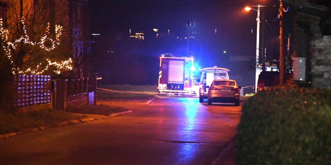Bjelovar: Pješak poginuo u naletu auta u naselju Jošine