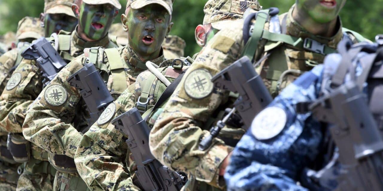 vojska