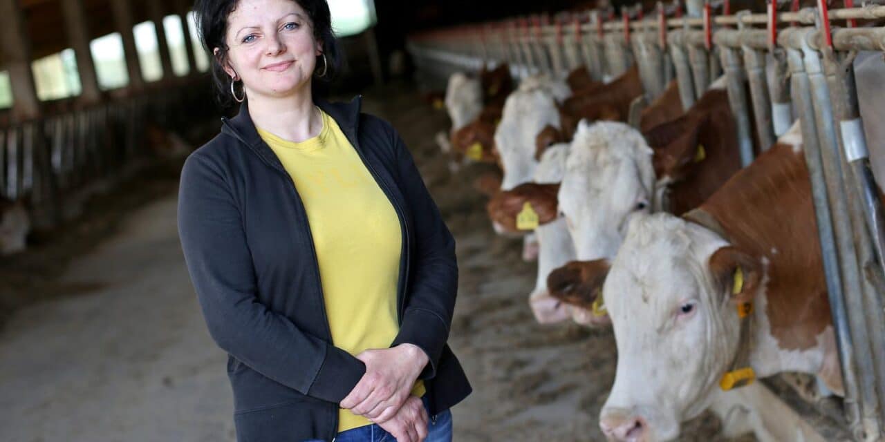 Mostari: Emina Burek, vlasnica farme muznih krava