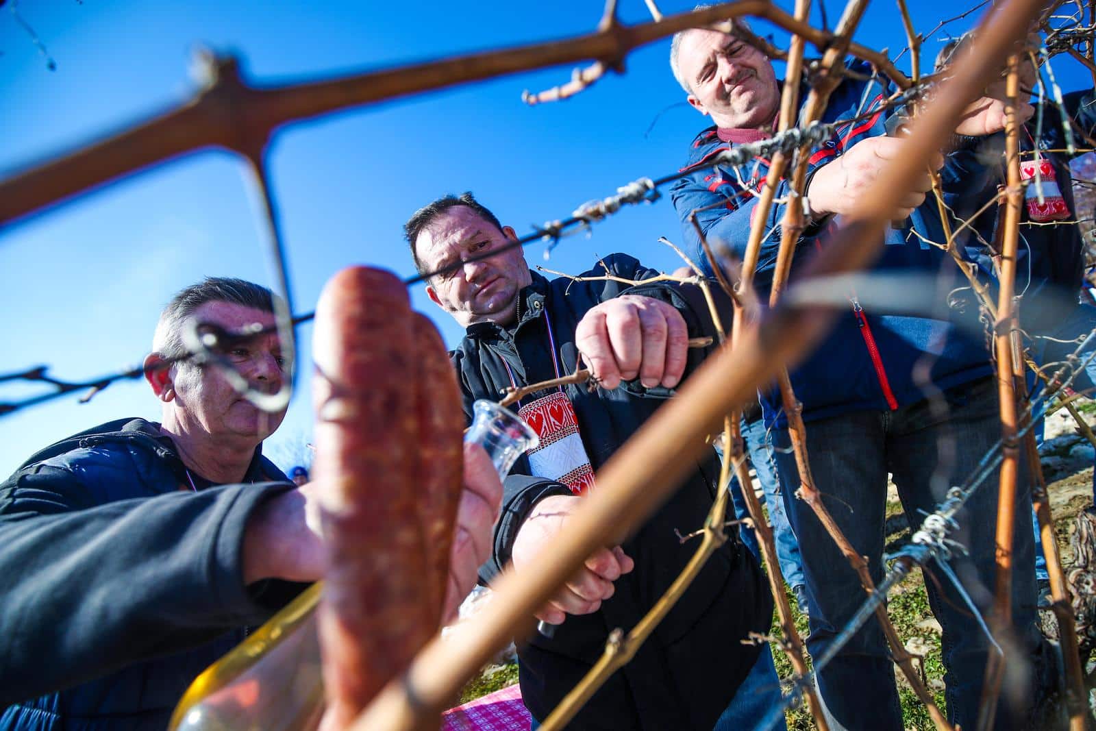 U Kašinskoj Sopnici održana ceremonija kićenja, zalijevanja i rezanja trsa povodom blagdana sv. Vinka
