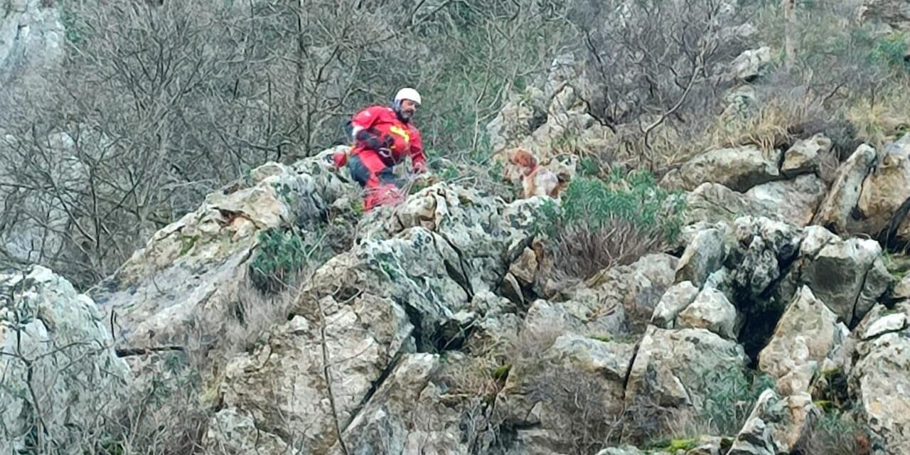 Drniš: Članovi HGSS-a spasili psa iz kanjona rijeke Čikole