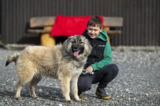 Simonu je tek 10 godina, a već više od godinu dana volontira u Skloništu za napuštene životinje u Zagorju