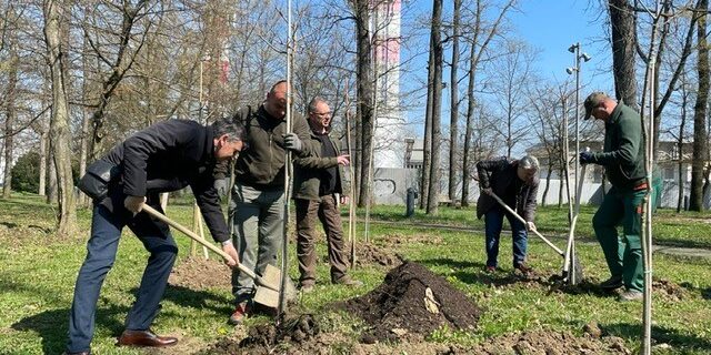 Sadnja stabala u park šumici zračne luke
