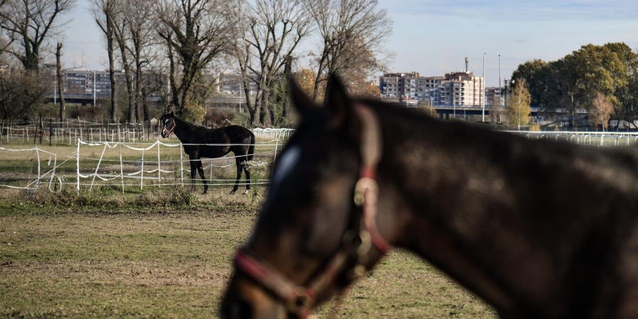 Zagreb: Ustanova za upravljanje sportskim objektima novinarima je dopustila obilazak Hipodroma
