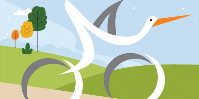 put_bijele_rode_2024.png__648x432_q85_crop_subsampling-2_upscale