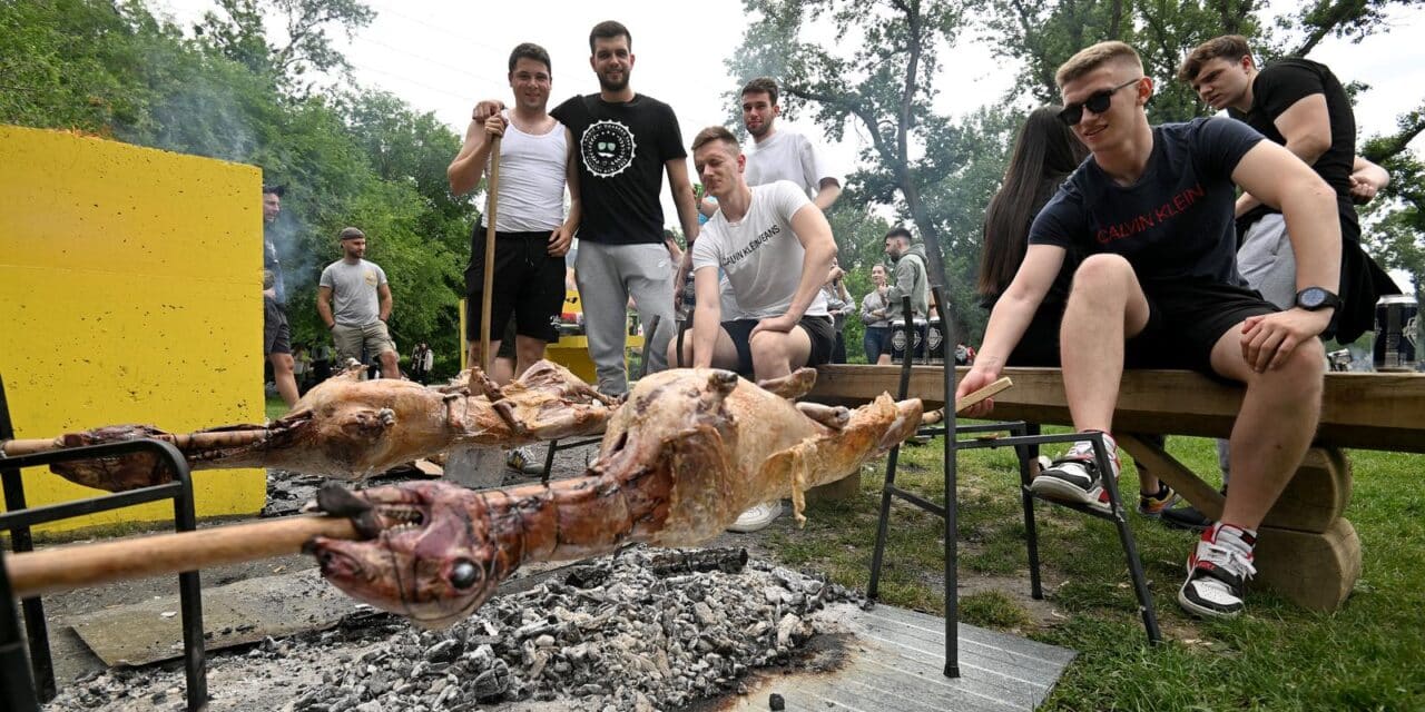 Zagreb: Veselo društo na Jarunu je zavrtilo i janje