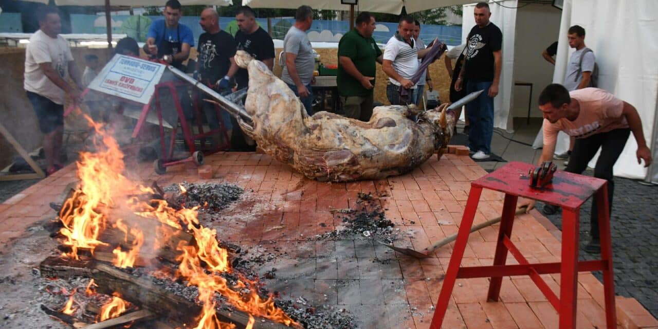 Križevci: Vol završio u žaru nakon što je puknuo željezni ražanj