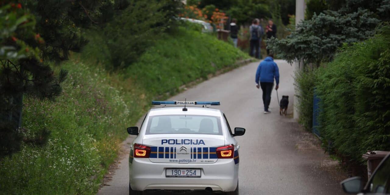 Policijski očevid u Susedgradu gdje je muškarac bez odjeće sjekirom oštetio nekliko automobila