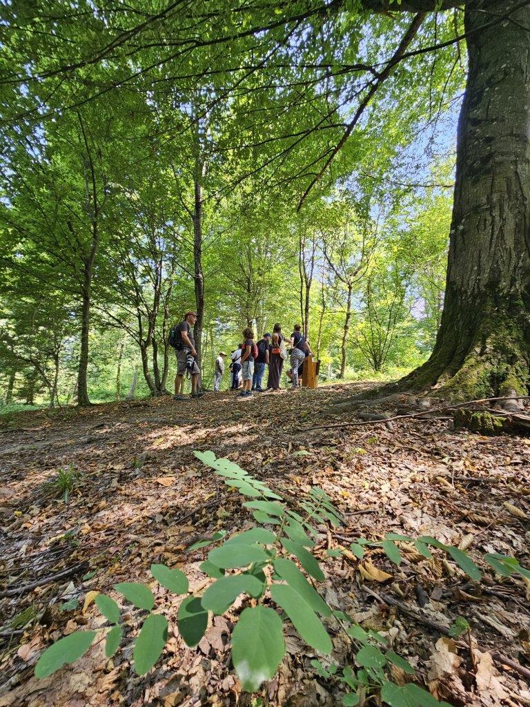 Long_Village_Fitness_Walk (5)