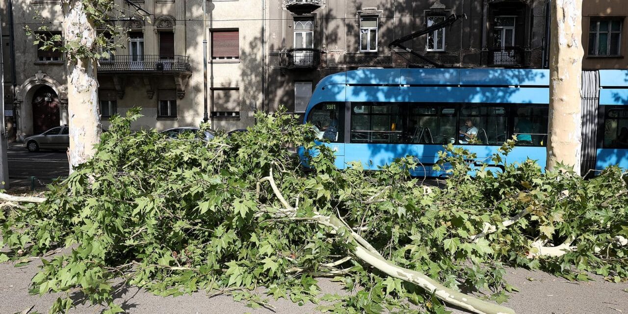 Zagreb: Brzom intervencijom vatrogasaca uklonjeno stablo koje se uslijed nevremena srušilo na cestu u Ulici Republike Austrije