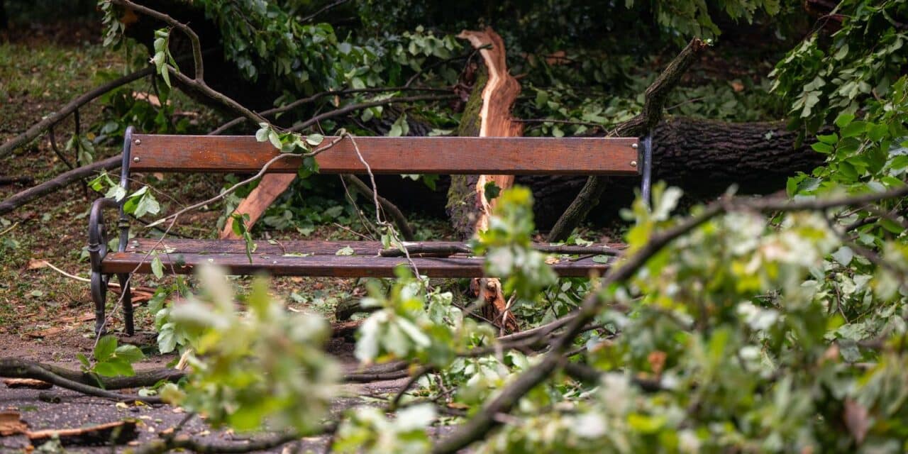 Zagreb: Posljedice noćašnjeg nevremena u parku Maksimir