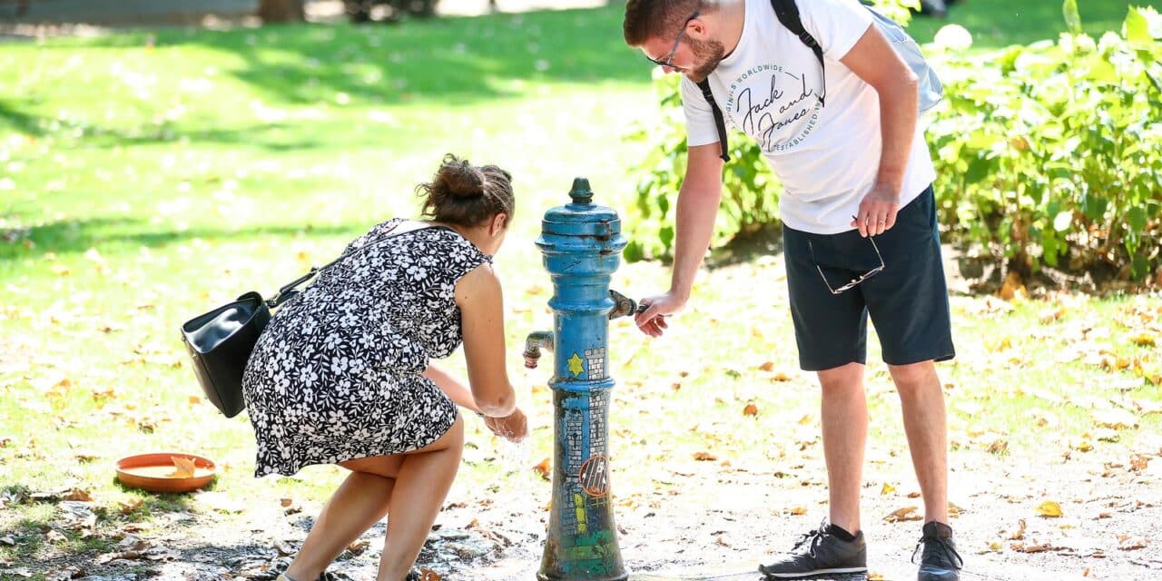 Grad Zagreb stavio je u funkciju 166 javnih zdenaca s pitkom vodom