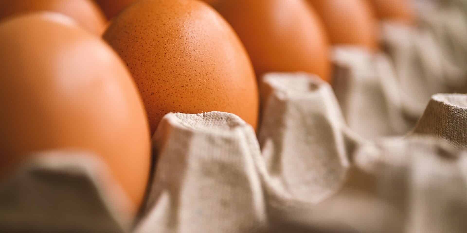 egg-7345934_1920