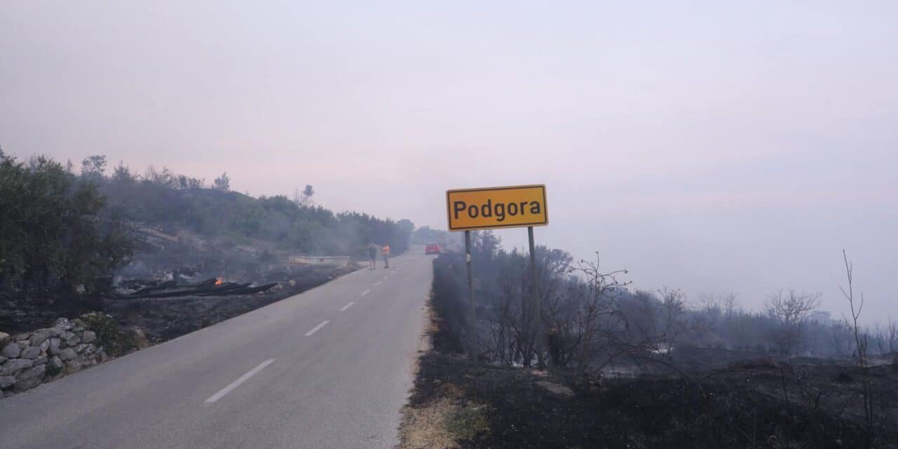 Osim šume i raslinja, u poažru u Podgori izgorjeli su i čamci