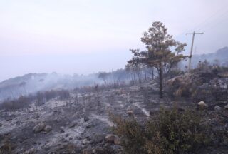 Osim šume i raslinja, u poažru u Podgori izgorjeli su i čamci